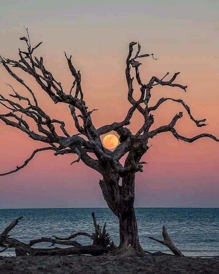 मैं बस बूढ़ा हो जाना चाहता हूं